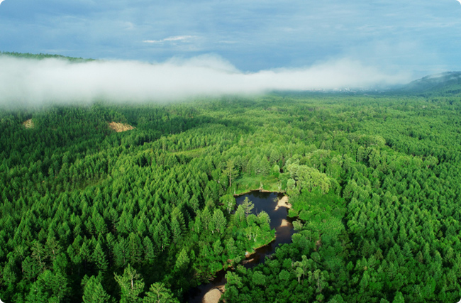 �֘I̼�R�Ŀ�������x��ָ�ϣ�����x̼�R�־W��